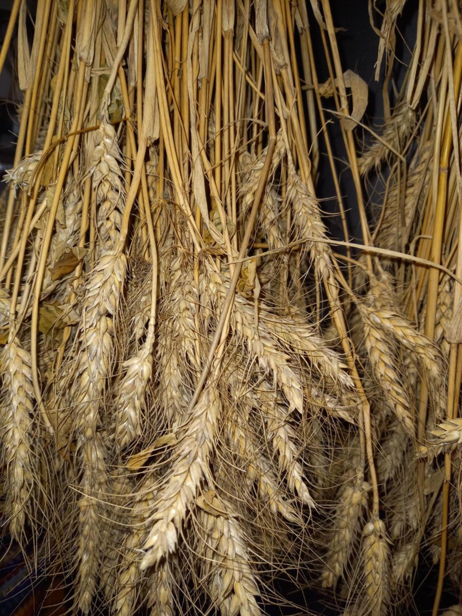 Fruehstueckspension Muellergut Sankt Martin bei Lofer Esterno foto